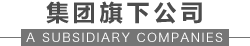 集團(tuán)旗下公司
